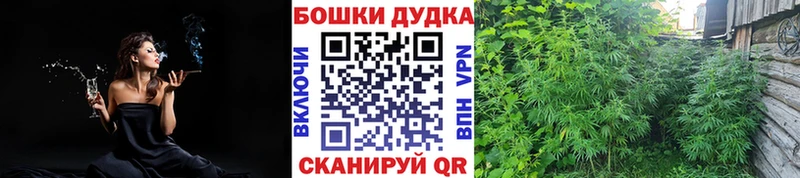 Шишки марихуана White Widow  купить наркотики сайты  Константиновск 